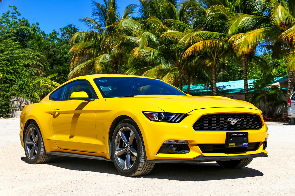 如何通过技术参数分析汽车的性价比？